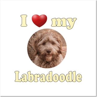 I Love My Labradoodle Posters and Art